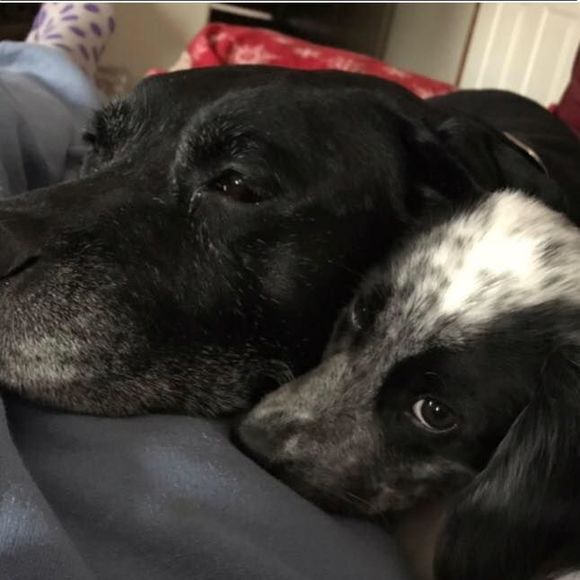 Meet your Posher, Margie - Picture 1 of 1